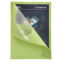 Pt 100 chemises à fenêtre SUPER vert
