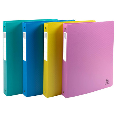 Classeur 4anx 30mm PP A4+ Forever Young