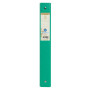 Clas.4 anx 30mm FOREVER Vert F./ Vert C.