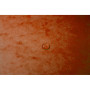 Trieur agrafé int. noir 12 comp. Orange
