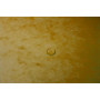 TRIEUR AGRAFE 12 COMP. JAUNE