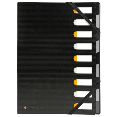 HARMONIKA  EXACTIVE 240X328 9C.