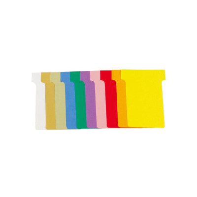 PQT 1000 FICHES EN T 45X53 N° 1,5 ASS.