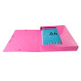 Bte classemt A4 D40mm600g Iderama rose