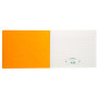 PIQ. 25/32 30 Colonnes 80p.