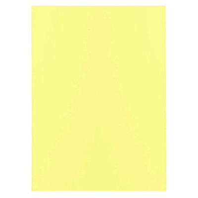 Pt 100 sous-chemises SUPER 60 canari