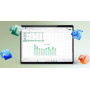 MICROSOFT Office Home and Business 2024