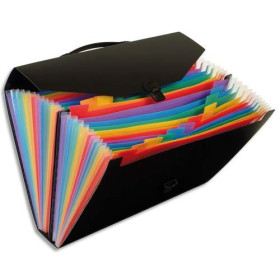 VIQ TRIEUR RAINBOW 26 CPT PP N 117487-02