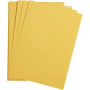 1F Etival Color 160g 50x65cm bouton d'or