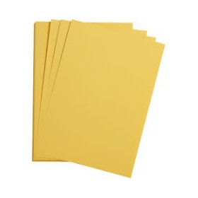 1F Etival Color 160g 50x65cm bouton d'or