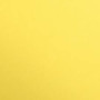 1F couleur Maya 50x70cm 270g jaune citron