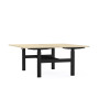 Bureaux bench axel rect. l160xp80 cm - ep25 mm ma - structure sg - syst.motorise
