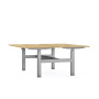Bureaux bench axel rect. l160xp80 cm - ep25 mm ri - structure z4 - syst.motorise