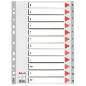 Intercalaire PP, A4, 12 touches Esselte, Gris