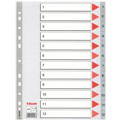 Intercalaire PP, A4, 12 touches Esselte, Gris