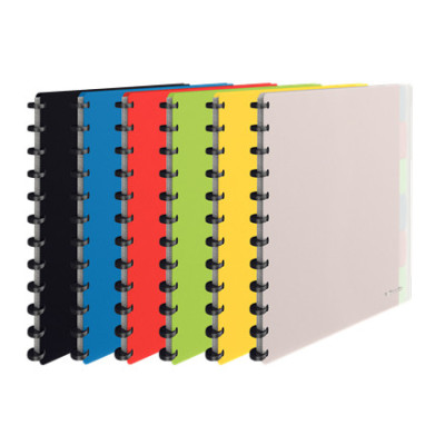 Reliure protege-documents rechargeable VIVIDA Esselte, Assortis