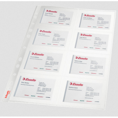 Pochette perforee 16 cartes de visite Esselte, sachet de 10, Transparent