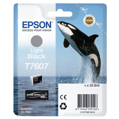 Epson ink cartridge C13T76074010 light black ( C13T76074010 )