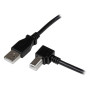 Câble USB 2.0 Type A vers USB Type B Coudé à droite Mâle   Mâle 2m StarTech.com