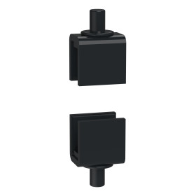 Jeu de 2 charnières pour porte de coffret LCS² 10pouces comp