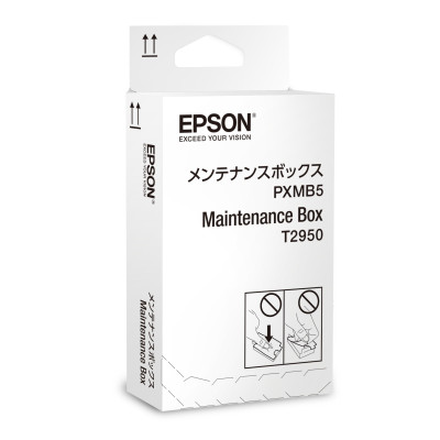 EPSON C13T295000
