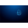 Kingston IronKey Vault Privacy 50 Series - clé USB - 32 Go - Conformité TAA FIPS