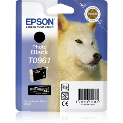 Epson ink cartridge C13T09614010