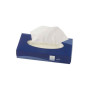HYG BTE/100 MOUCHOIRS 2P BLC 01MO100