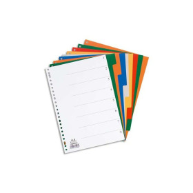 Intercalaires neutres a4 12 positions pp 12/100 assorti