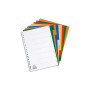 Intercalaires neutres a4 12 positions pp 12/100 assorti