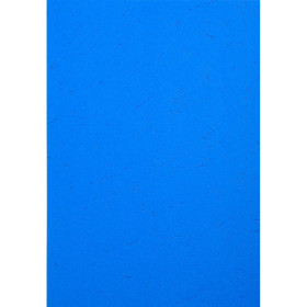 Pk 100f forever bleu a4 270g