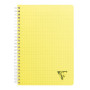 Linicolor cahier reliure intégrale 17x22cm 100p q.5x5 assortiment fresh