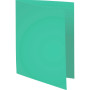 Pt 100 chemises super 210 vert vif