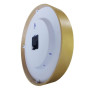 Pendule baltic + pile