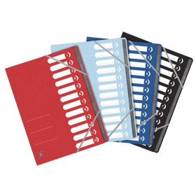 Trieur agraphe oxford top file + a4 12 pos. assorti