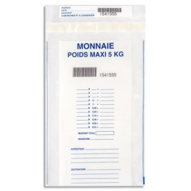 Rsk l/100 sachets securit monnai 15002-1