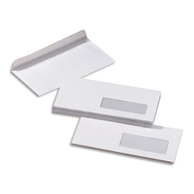 Prg b/500 env 80g c5 f45 auto adhesive