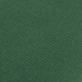 Kraft couleur 65g, rl 3x0,70m vert mousse