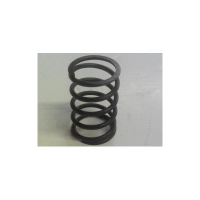55 - RESSORT DE PISTON P/NETTOYEUR WATERGUN OU F 150