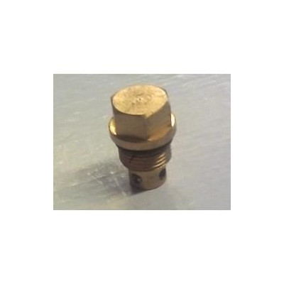 36 - BOULON DE BY PASS POUR NETTOYEUR WG140, F150 OU F180