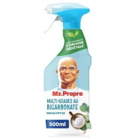 Nettoyant multi-usages spray bicarbonate 800 ml Mr Propre