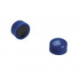BLISTER 10 AIMANTS 12MM BLEU