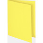 Pt 100 sous-chemises flash 80 canari