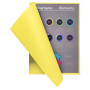 Pt 100 sous-chemises flash 80 canari
