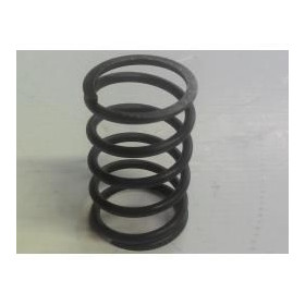 25 - RESSORT DE BY PASS - HP WG140/F150