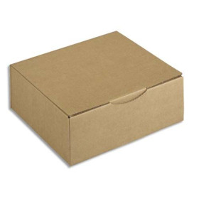 EMB BTE POSTALE SPC 30X24X10 HV 401251 - SG132A