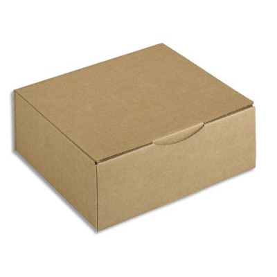 EMB BTE POSTALE SPC 30X24X10 HV 401251 - SG132A