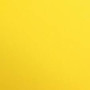 1F couleur Maya 50x70cm 270g jaune soleil