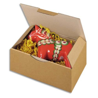 Boîte postale carton simple cannelure 250 x 150 x 100 mm 401248