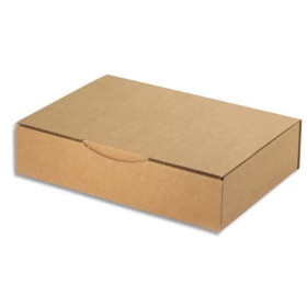 Boite postale sc 31 x 21 x 7  - 401250